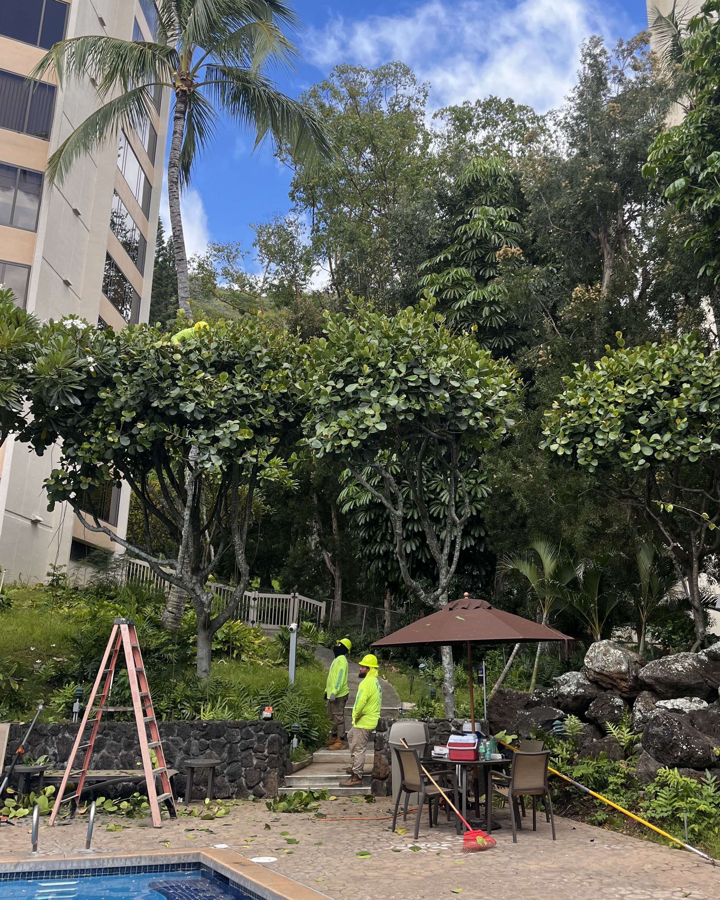 Crew trimming trees poolside at a condo association